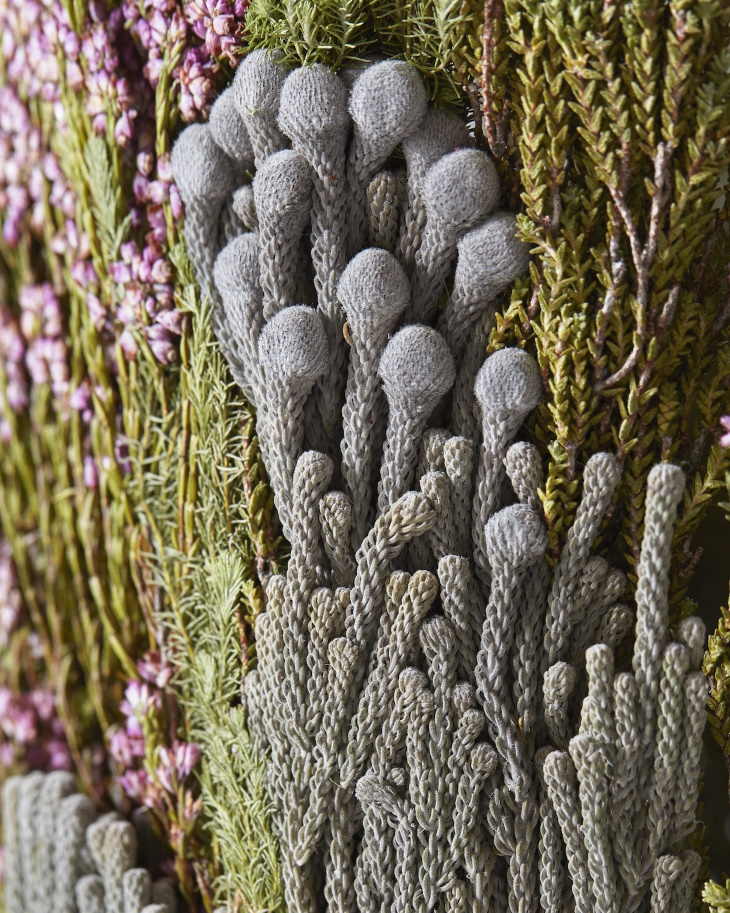 Shannon Clegg Herbarium Vases