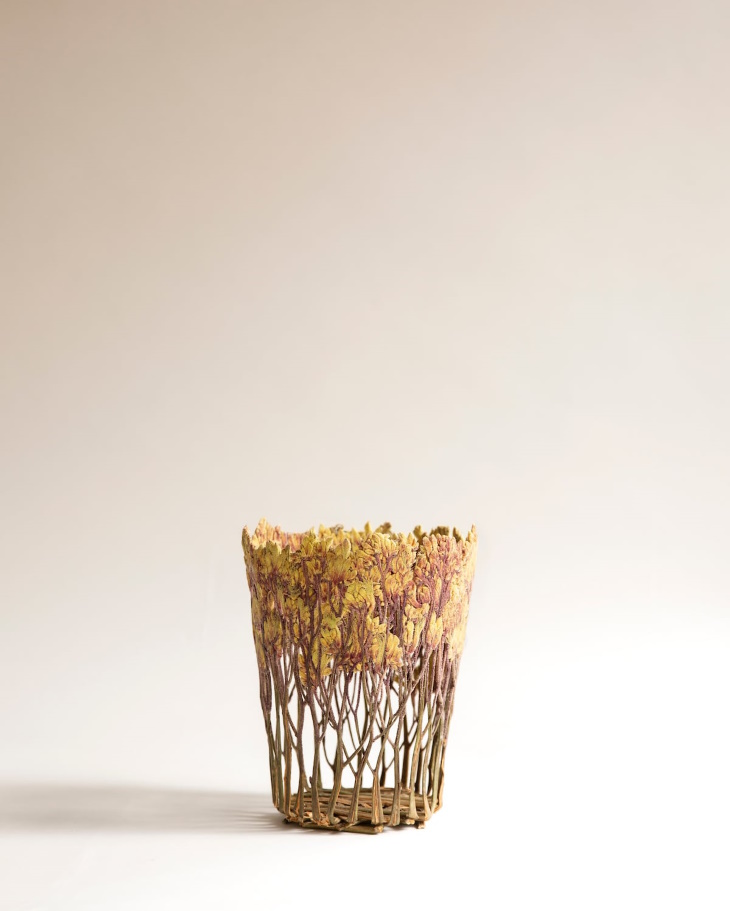 Shannon Clegg Herbarium Vases