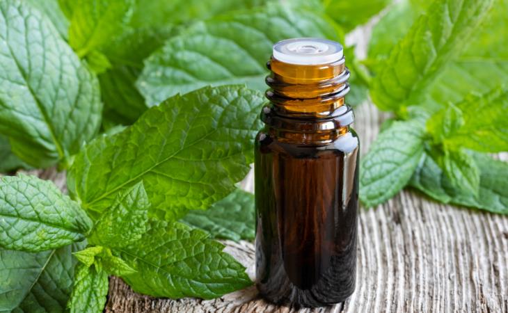 Peppermint Oil 