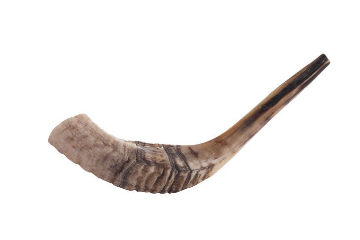 Natural musical instruments, Shofar