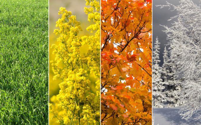 Which group do you belong to and what does it mean about you: the seasons