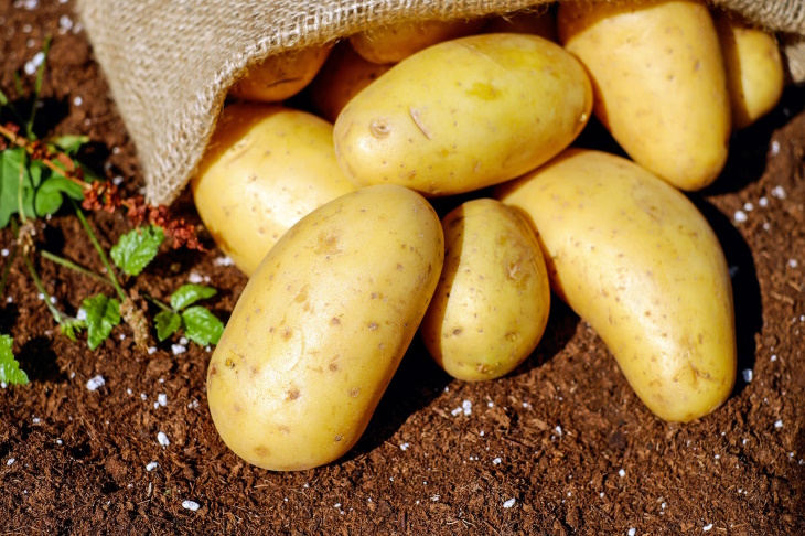 Food Facts Potatoes