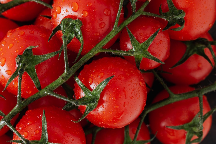 Food Facts tomatoes