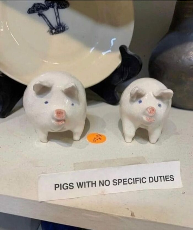 Hilarious Signs pigs