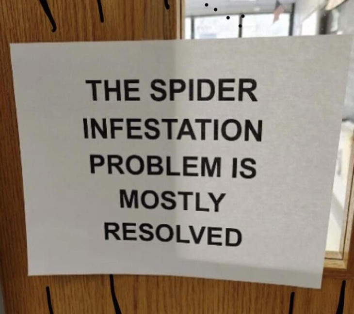 Hilarious Signs spider infestation spider infestation