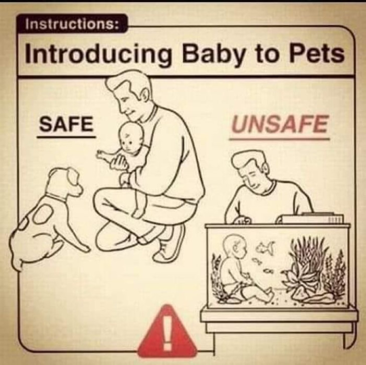 Hilarious Signs Introducing Baby to Pets