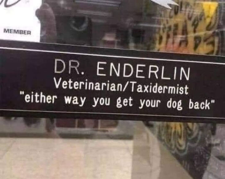 Hilarious Signs veterinarian and taxidermist