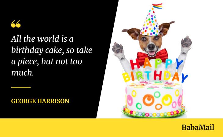 funny birthday quotes, cake