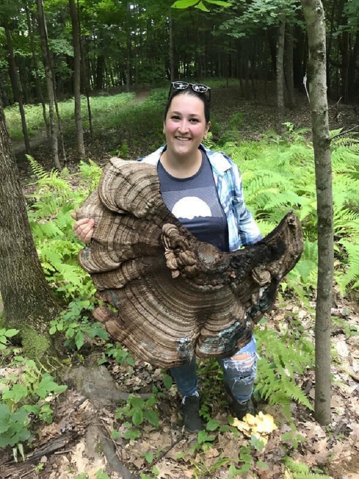 Nature Photos, Giant fungus