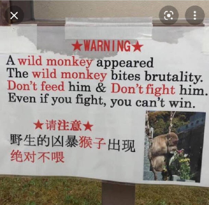 Mistranslations, monkey