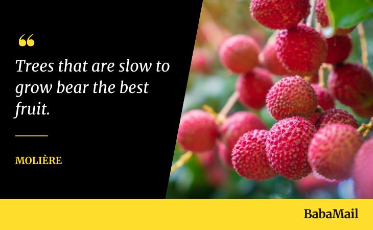 Inspirational Quotes for Patience, fruits