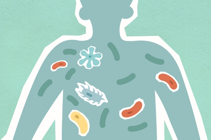 Probiotics Body full of germs cutout