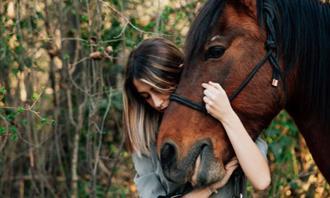 Are you empathetic or sympathetic: horse and woman