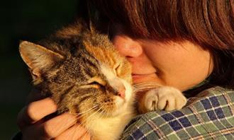 Are you empathetic or sympathetic: cat and woman