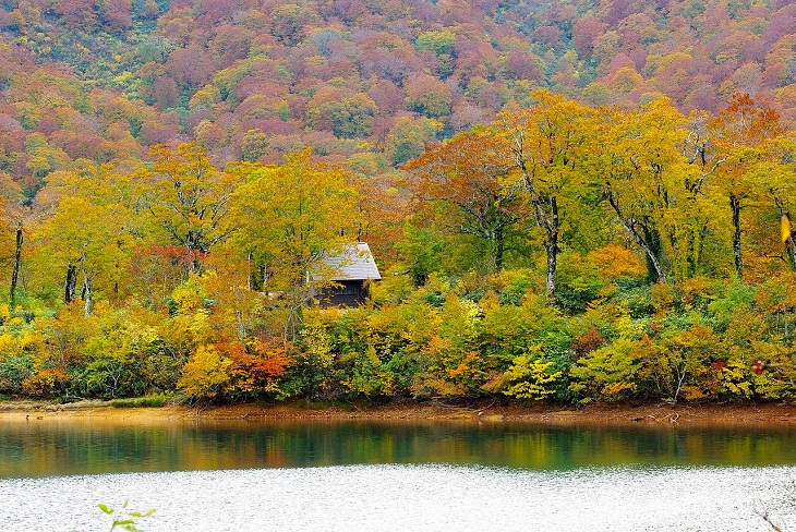 Tesouros escondidos do Japão: 13 vilas encantadoras Higashinaru