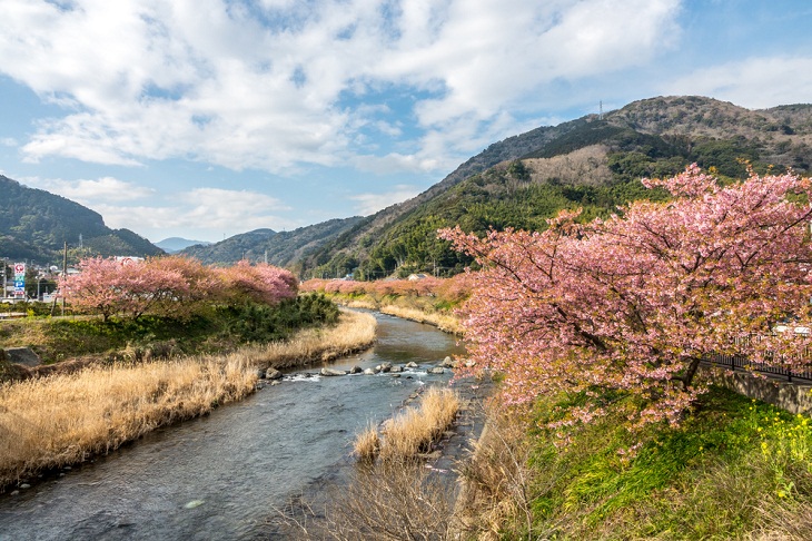 Tesouros escondidos do Japão: 13 vilas encantadoras, Yoshino
