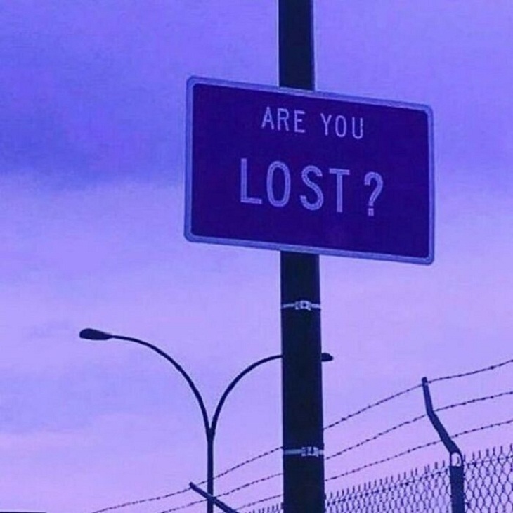 Funny Signs, lost