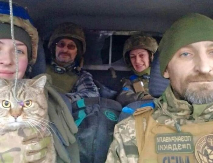 Funny Animal Pictures Ukrainian soldiers and their fearless feline commander
