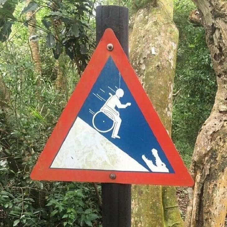 Funny Signs, croc