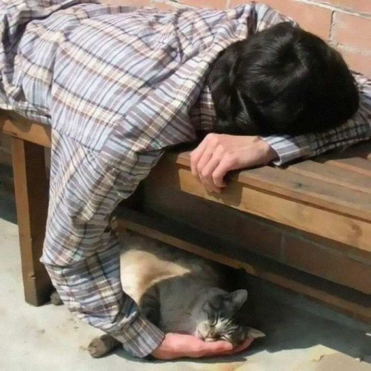 Funny Animal Pictures man sleeping on bench with cat under the bench