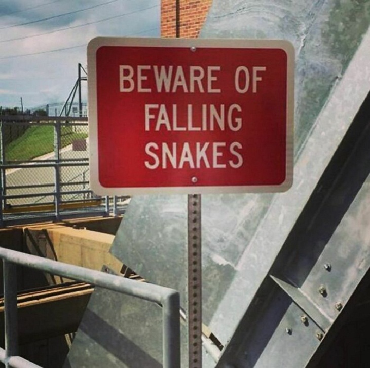 Funny Signs, snakes