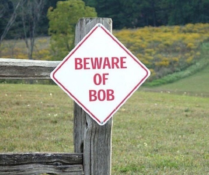 Funny Signs, bob