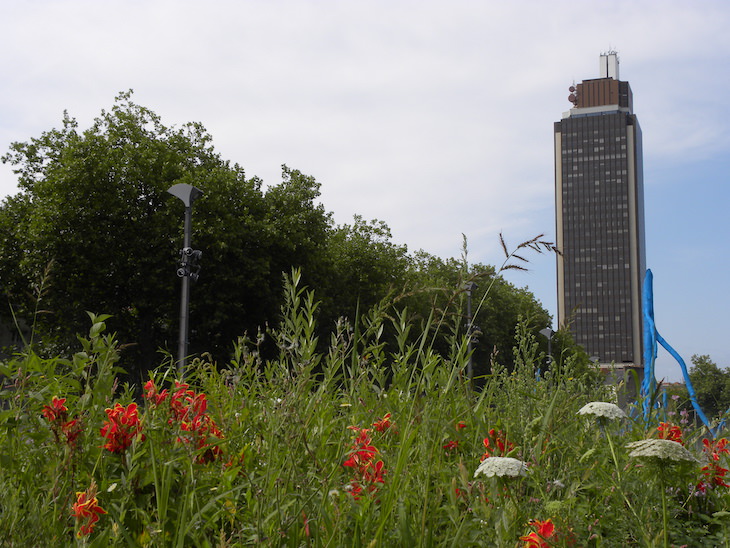 אטרקציות בנאנט: מגדל ברטאן על רקע שדה פרחים