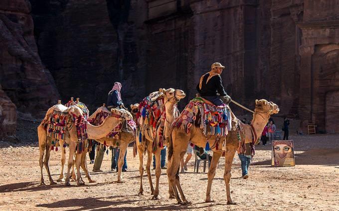 True False Test on World Geography: Camel Riders in Jordan