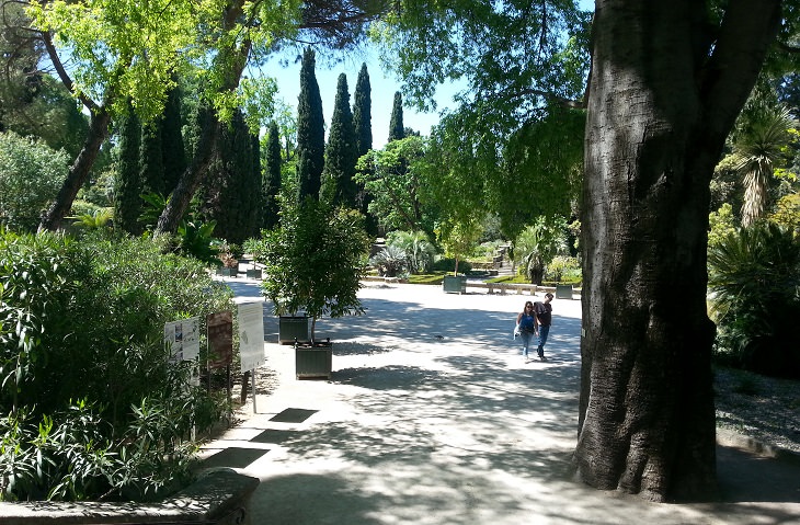Jardin des Plantes de Montpellier