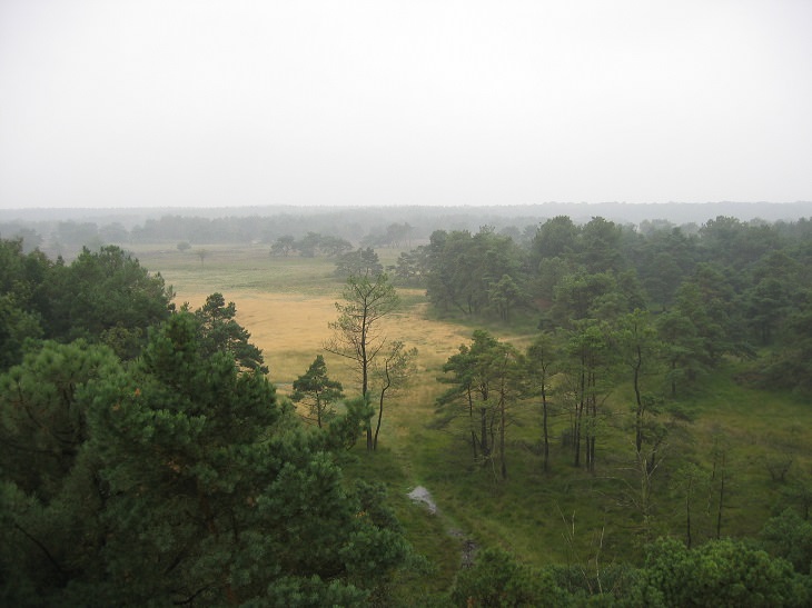 De Zoom – Kalmthoutse Heide National Park