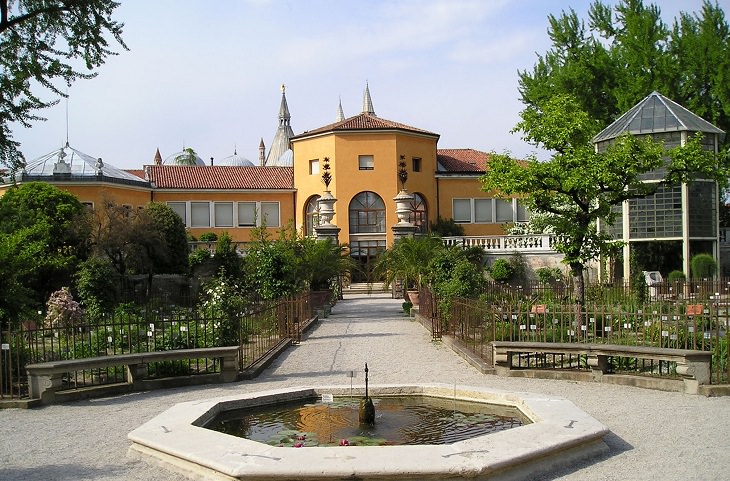 Orto Botanico di Padova, Italy