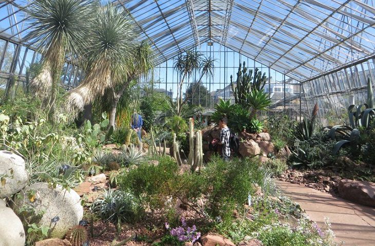 Royal Botanical Garden Edinburgh
