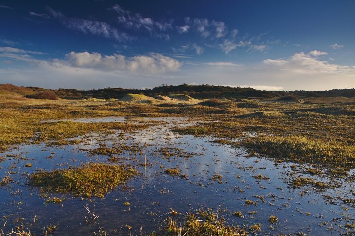 Zuid-Kennemerland National Park