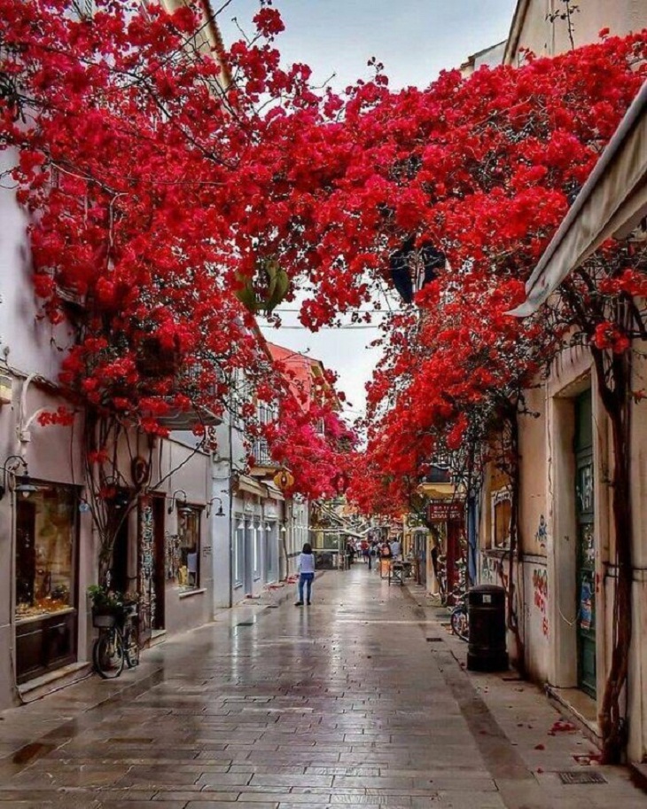 Awe-Inspiring Outdoor Spaces, Greece