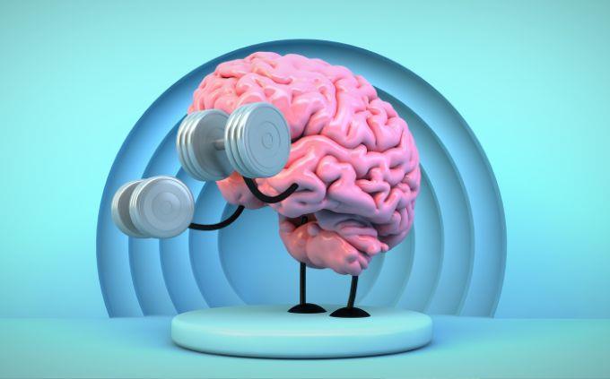 What is your level of general knowledge: weightlifting brain