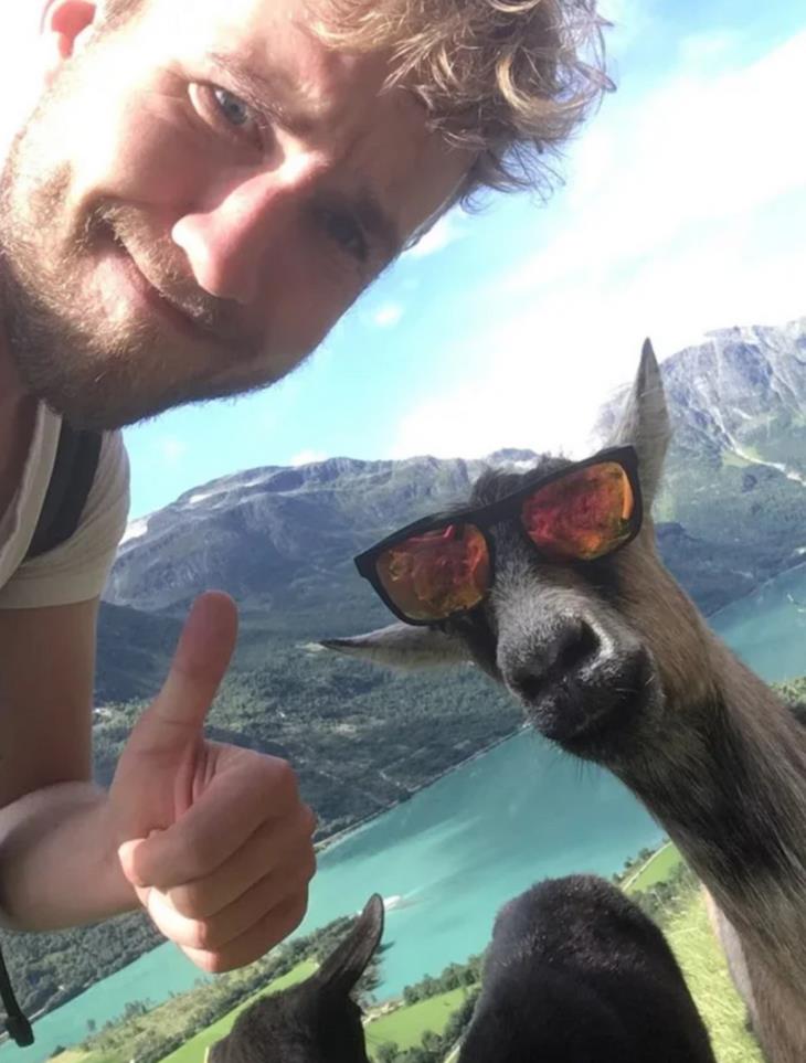 Life in Norway, Norwegian goat