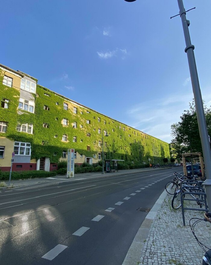 Smart Urban Planning, Green Houses