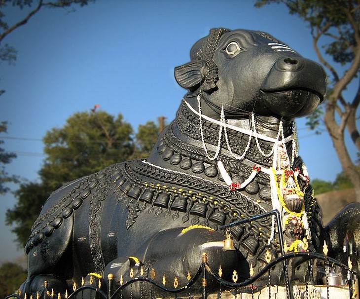 פסלי חיות מפורסמים מסביב לעולם: הפר במקדשו של נאנדי, מיסורו, הודו