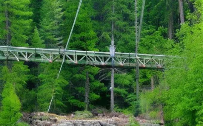 Artificial intelligence or real image: a bridge in the forest