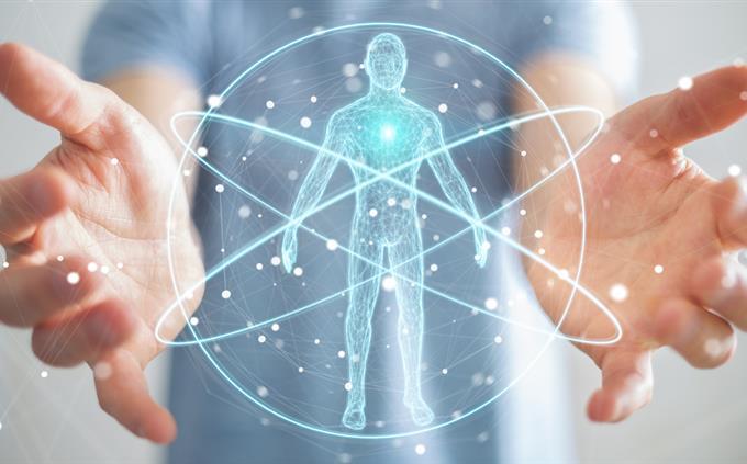 Human Body Trivia: A hologram of the human body