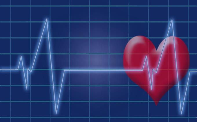 Human body trivia: heart