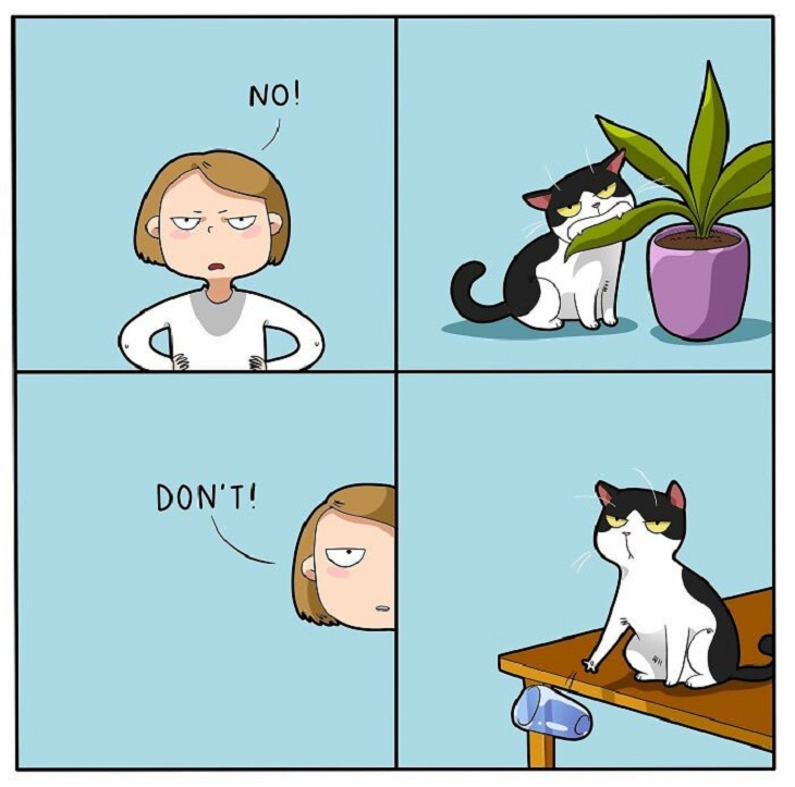 Humorous Cat Comics, naughty