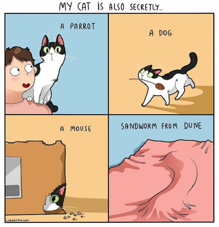Humorous Cat Comics, 