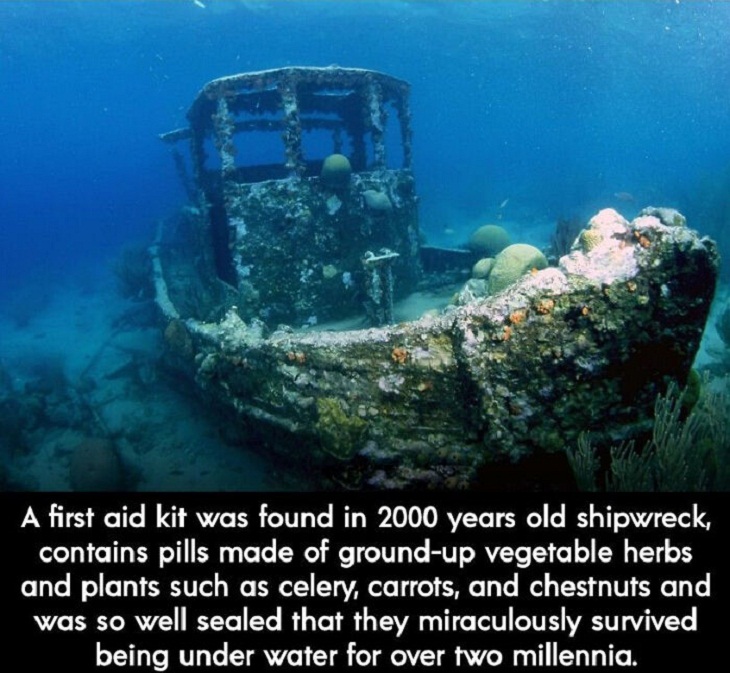 Excavations and Fascinating Finds, shipwreck
