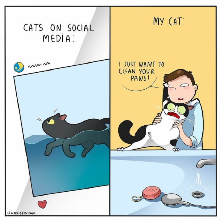 Humorous Cat Comics, bath