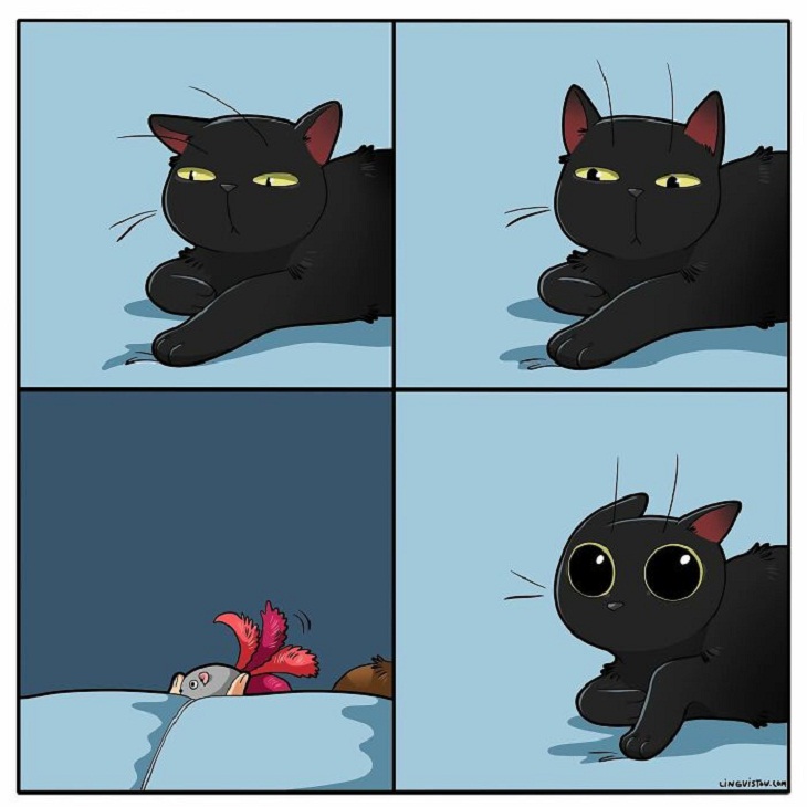 Humorous Cat Comics, 