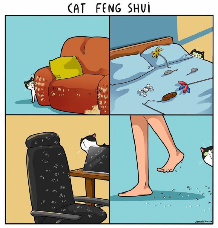 Humorous Cat Comics, scratches