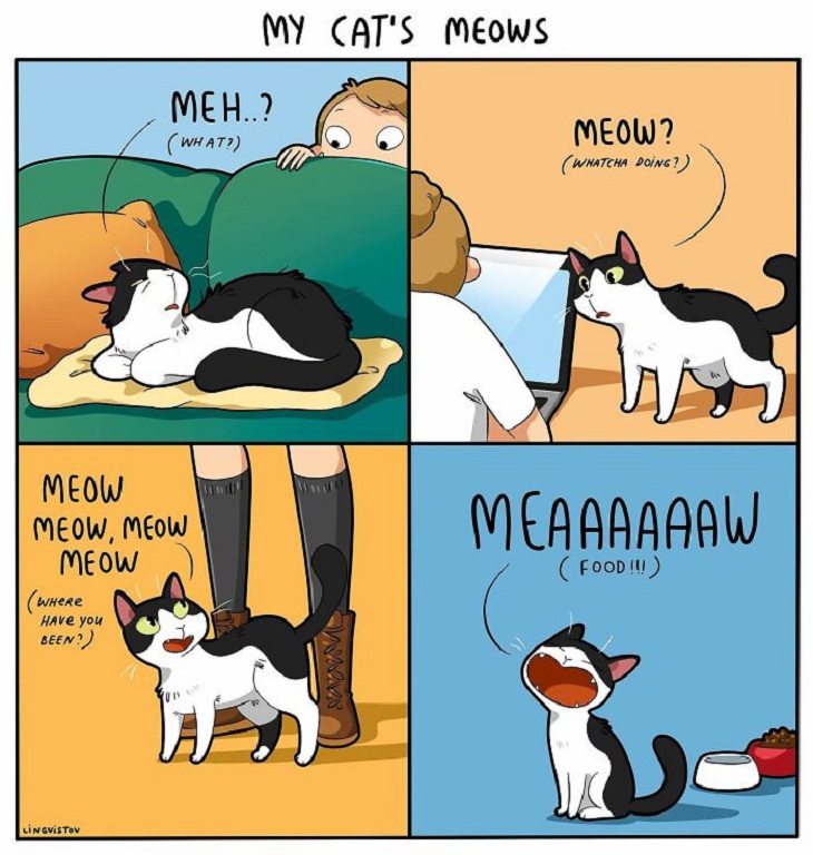 Humorous Cat Comics, meow