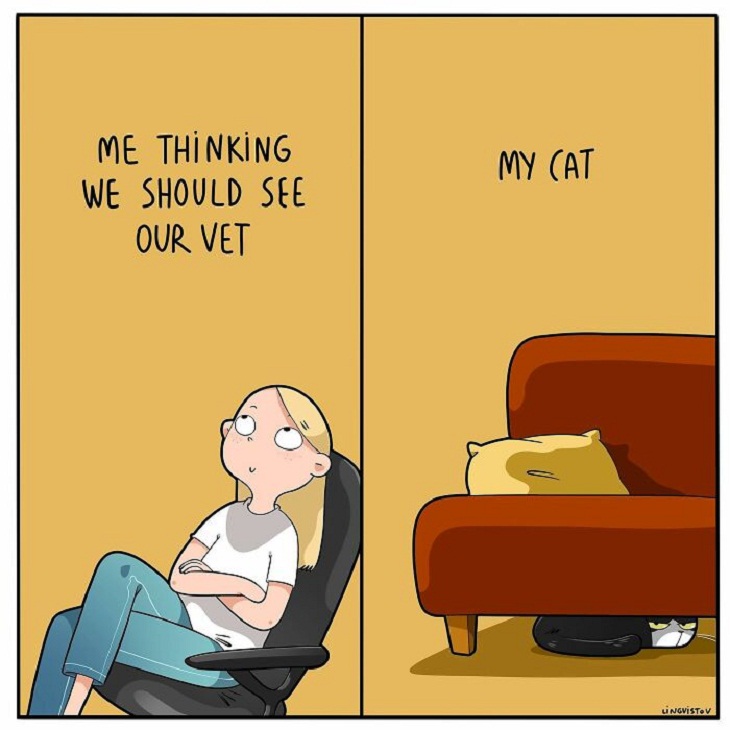 Humorous Cat Comics, vet