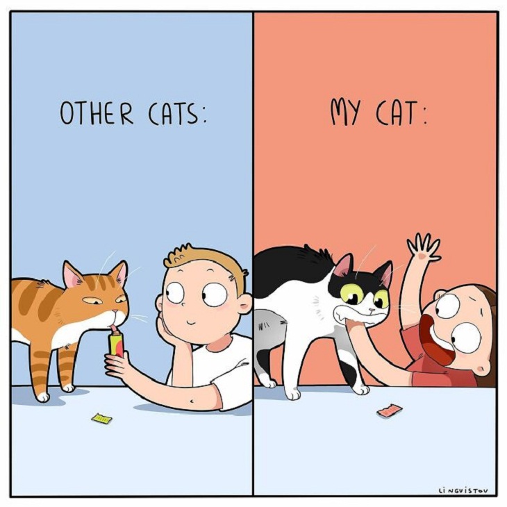Humorous Cat Comics, bite